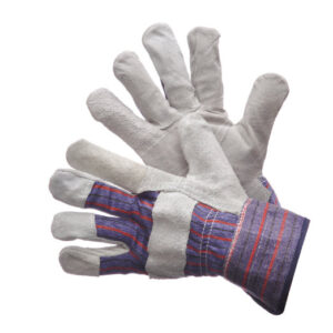 Full Feature with Starched Cuff Economy Grade Glove - 30-1890