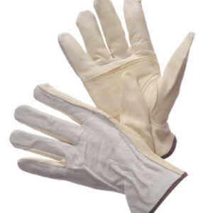 55-1450 - 55-1450