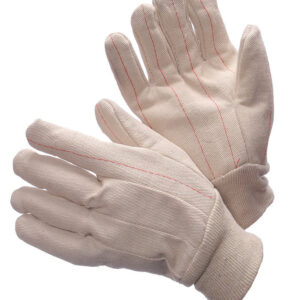 Double Palm Canvas - 60-1990