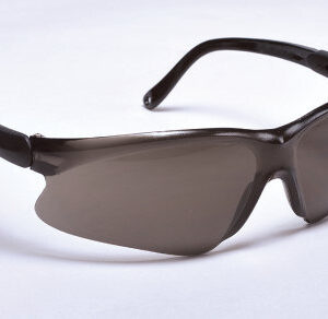 Wisdom Safety Glasses - 99-T8000-A